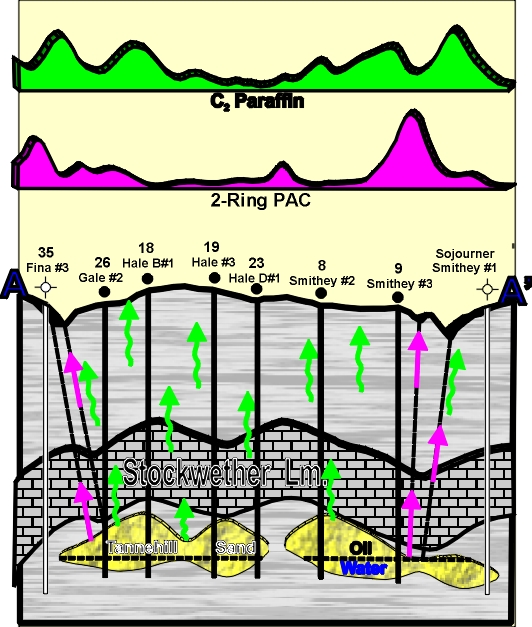 Navigator Cross Section